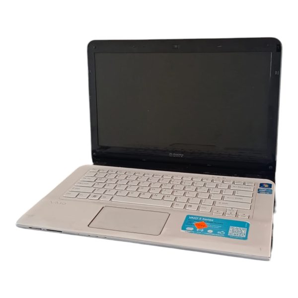 Sony Vaio modelo SVE141D11L
